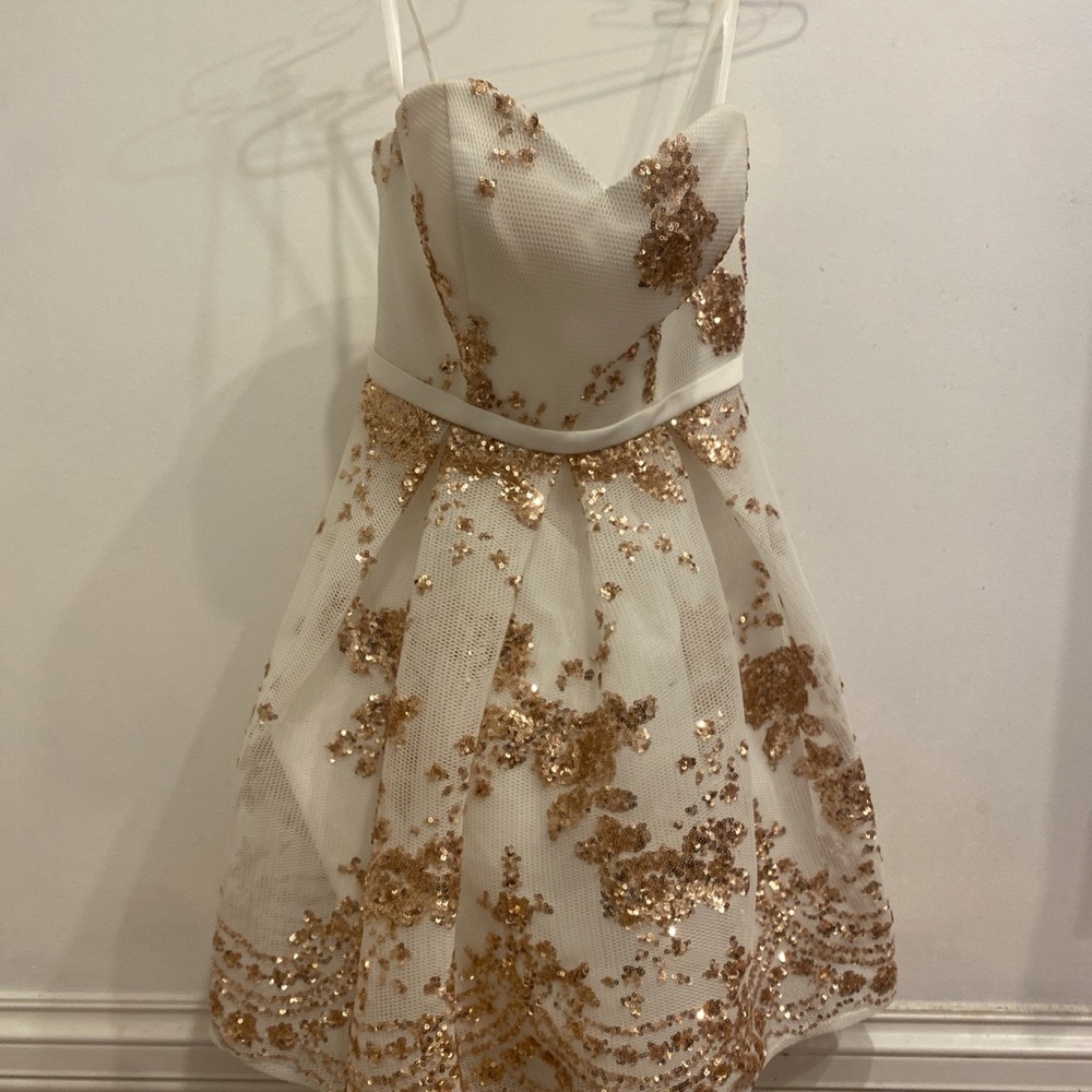 Alyce Paris White and Gold Dress